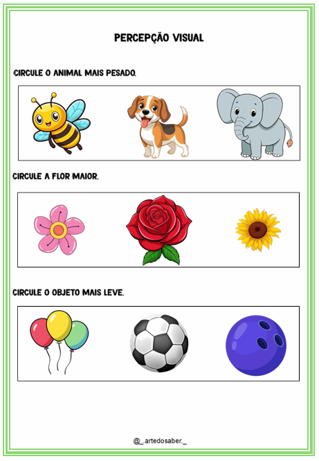 Exemplo de Caderno de Percepção Visual